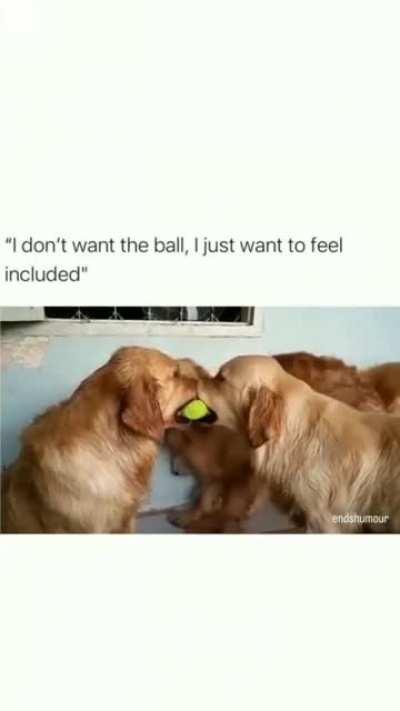 What ya doing guys?