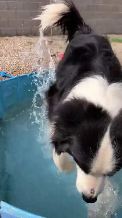 Y&rsquo;all liked the gif so much, so here&rsquo;s the full video!