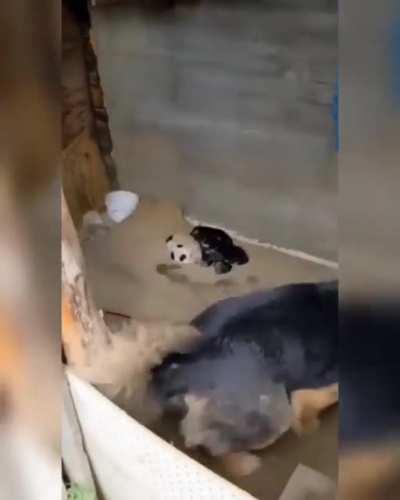 That&rsquo;s a proud momma
