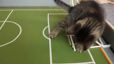 My boyfriend spent hours making a soccer pitch which lasted all of five minutes...