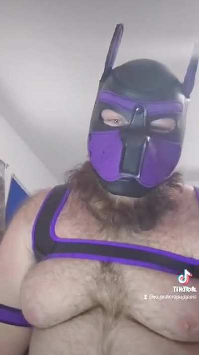 I don't even know what to say about this...