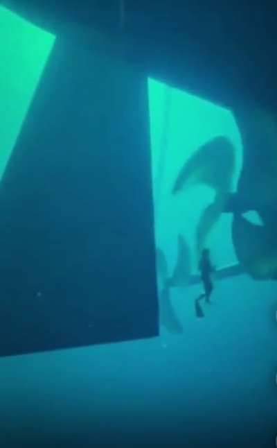 Imagine hearing the groan of the propellers begin to turn