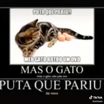 p*** que pariu! (veio do tico teko, infelizmente.. s&oacute; que &eacute; shitpost ent&atilde;o n&atilde;o conta kkj)