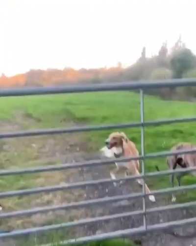 HMK while I show them how it&rsquo;s done.