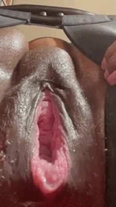 My horse pussy