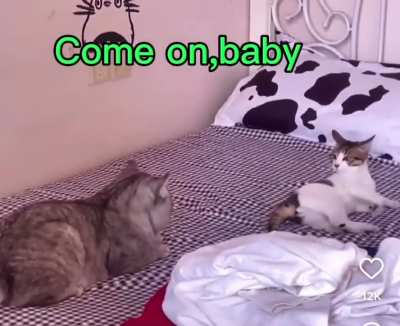 Ehehe..☺️