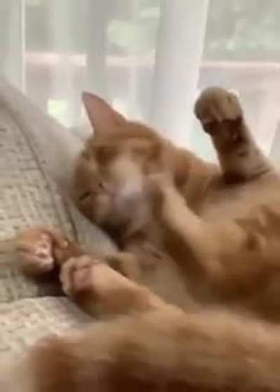 Self inflicted