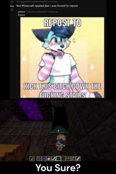 Le Furry MC