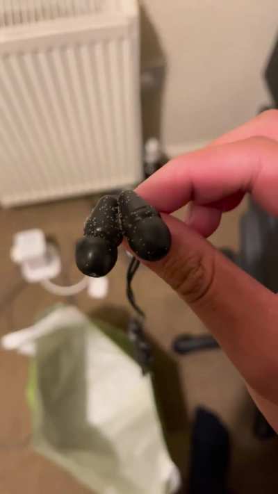 what are these tiny bugs that have raided my room&hellip;?