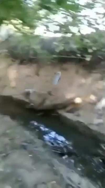 I would never do that much stupidity.