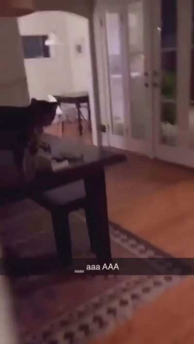 AAAAAAAAAAAAAAAAA