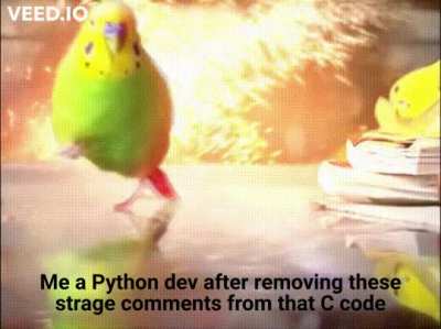wait preprocessor directives?