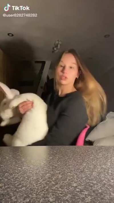 What in the alice in the wonderland