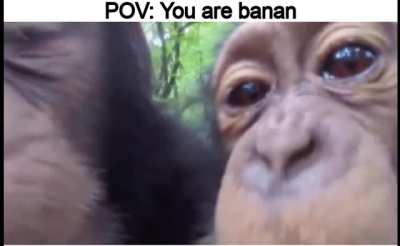 Tasty banan
