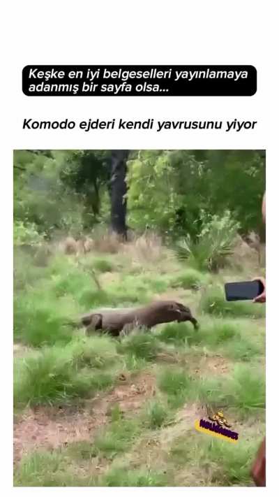 O&Ccedil; Bu Sefer De Kendi Yavrusunu Yiyor