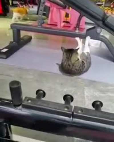 No excuse !