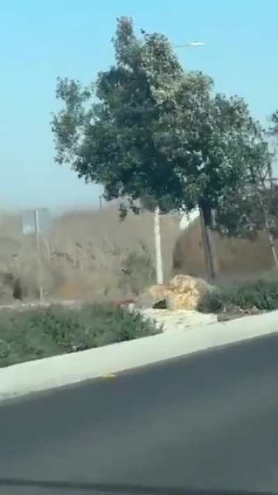 My tumble weed people need me