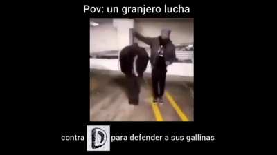 XD
