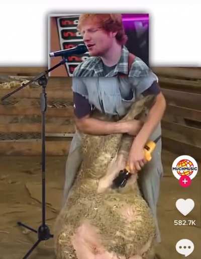 Ed Shearing