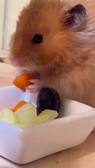 What a little gentleman