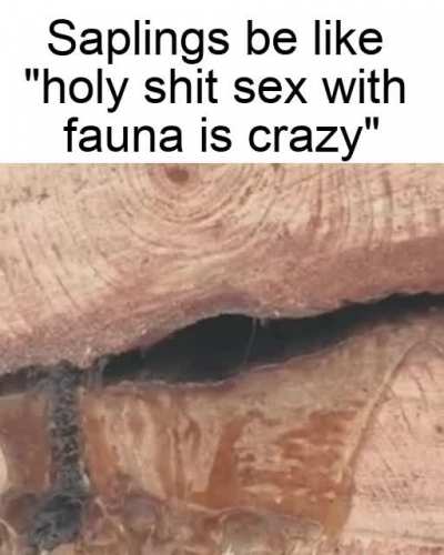 Get it because she’s mother nature