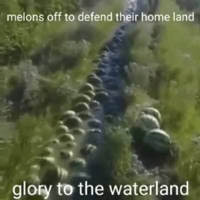 FOR WATERLAND