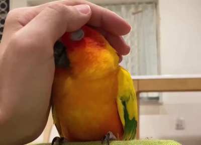 А это когда ты злой, но совестливый