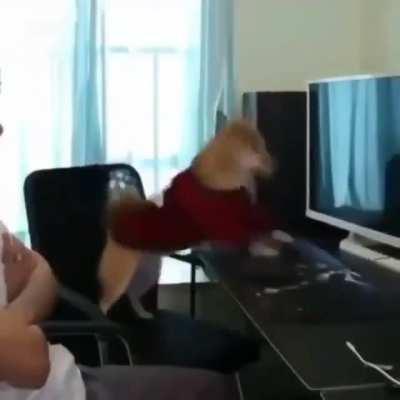 El MAAU jugando ranked en overwatch