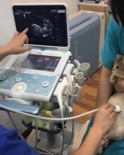 Expecting mother getting an ultrasound