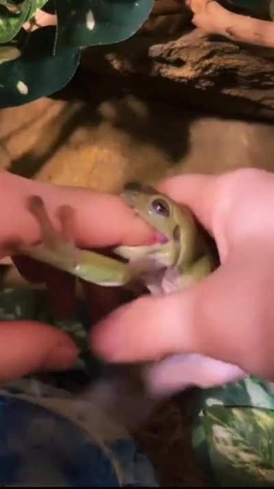 He&rsquo;s hungry