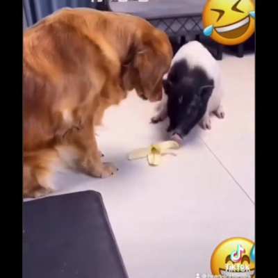 😟😟😟😟😟😟
