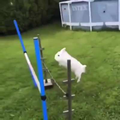 Unstoppable fluff