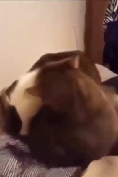 the audio is so perfect