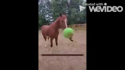 Flail Yeet (I found this video here:  