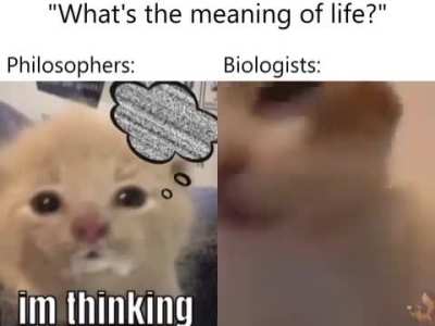 Grvglf