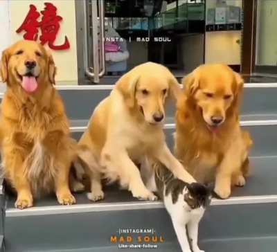 This is the best family photo