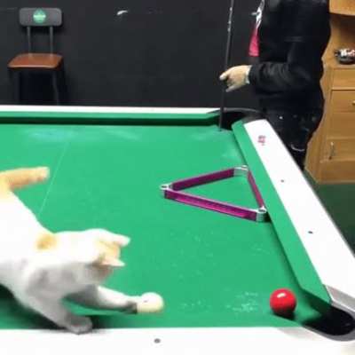 trickshot!