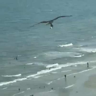 Guess I'll fly now..