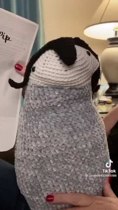 Little Penguin Pip 🐧