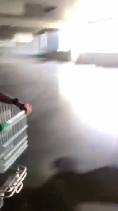 Kids + Trolley
