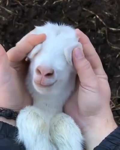 Peekaboo