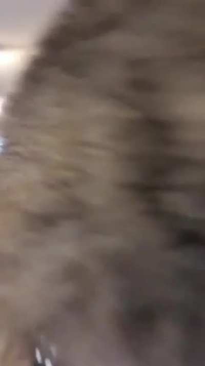 What dis?