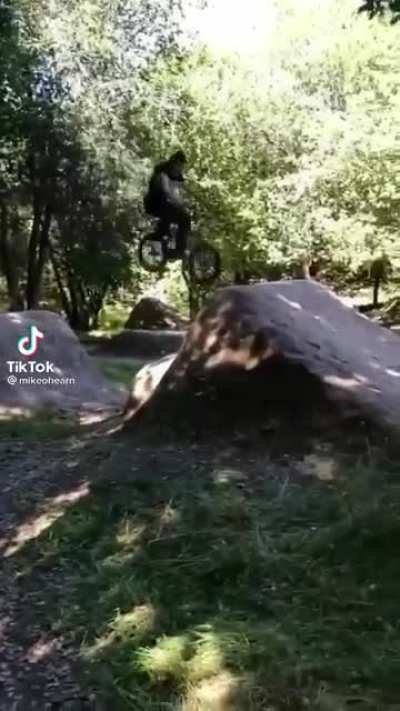 Bonk