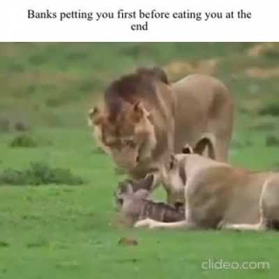 Can strongly relate to this 🤣🤣🤣