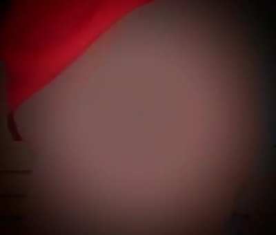 [50] female ass GIF by ilovepussy48