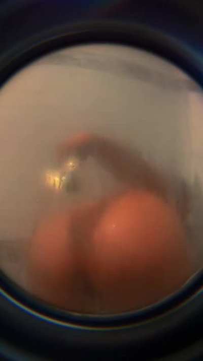 Are you watching me shower? 👀 🙈 might as well come watch me cum now 💦 subscribe 😉