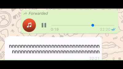 טיילור_במ