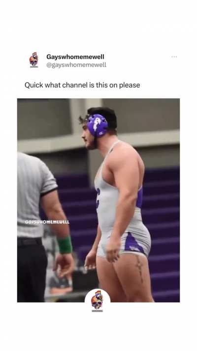 gay🤼irl