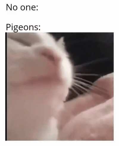They do be headbanging