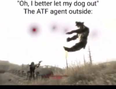 Dog Rule
